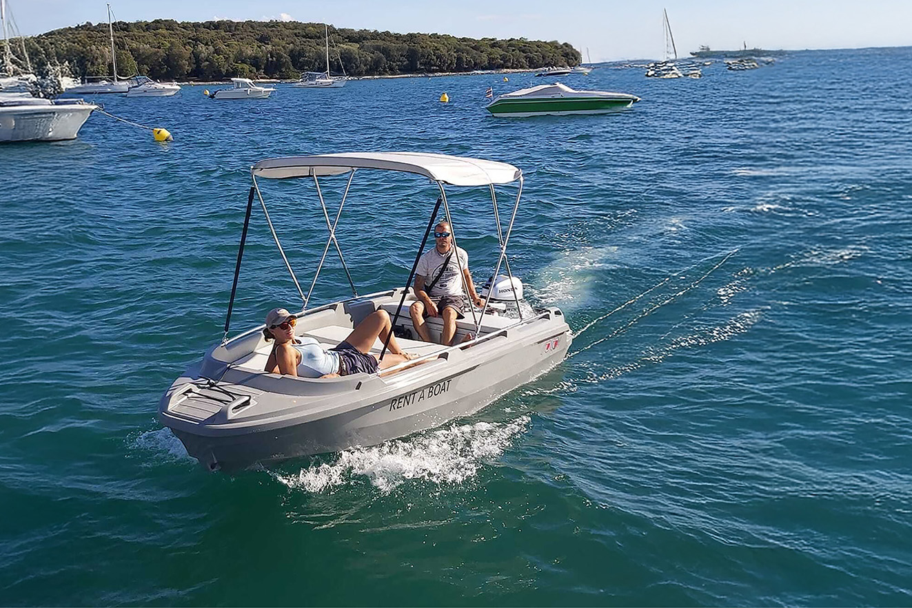 Hydra 450 Model - Basic_Hover